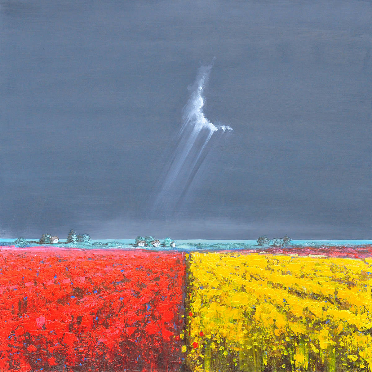 Finn Baxley + Flower Fields
